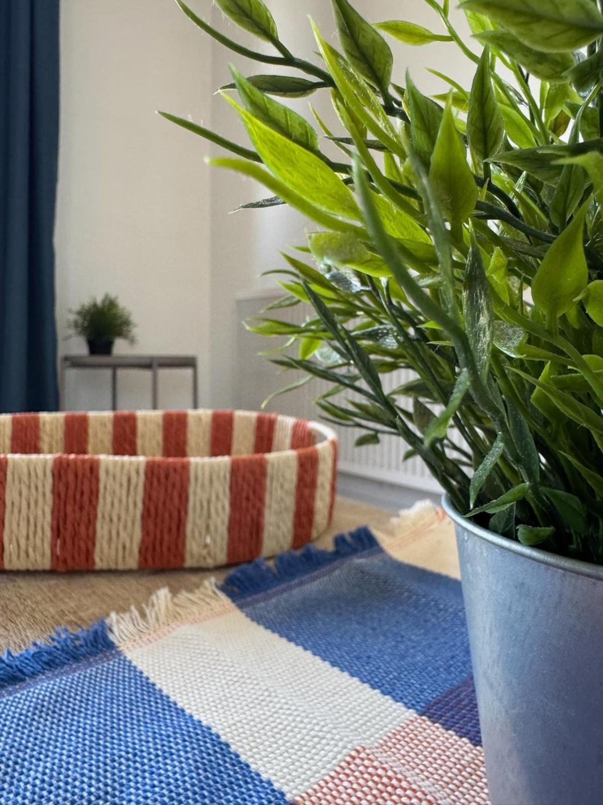 Bleu Mandarine By Prim0 C0nciergerie Appartement Clermont-Ferrand